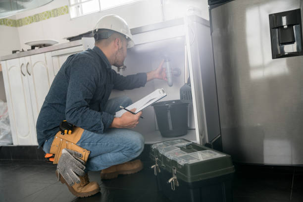 Best Plumbing Inspection Services  in Viroqua, WI