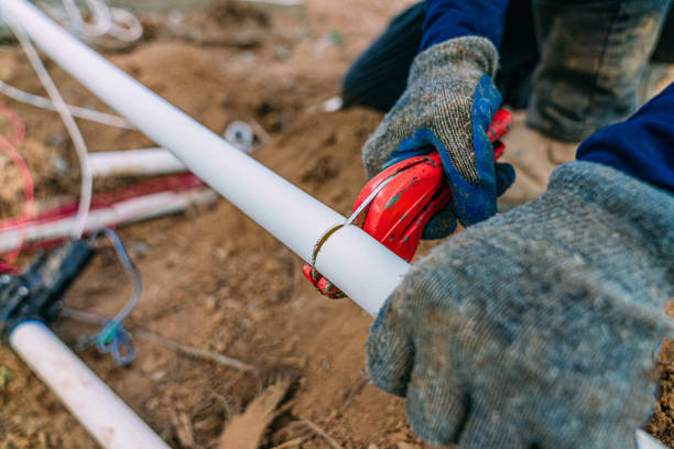 Best Plumbing Services Near Me  in Viroqua, WI